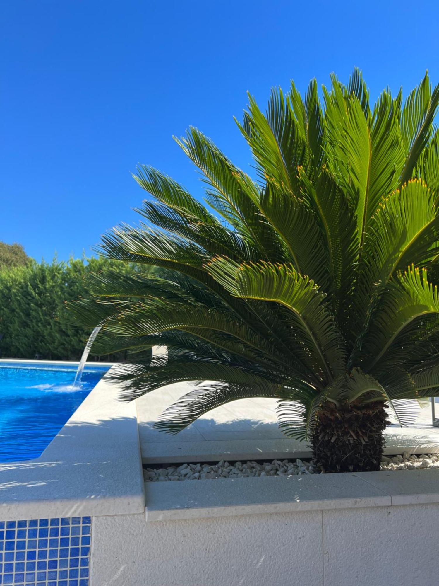 Holiday Luxury Resort Sundance 特罗吉尔 外观 照片